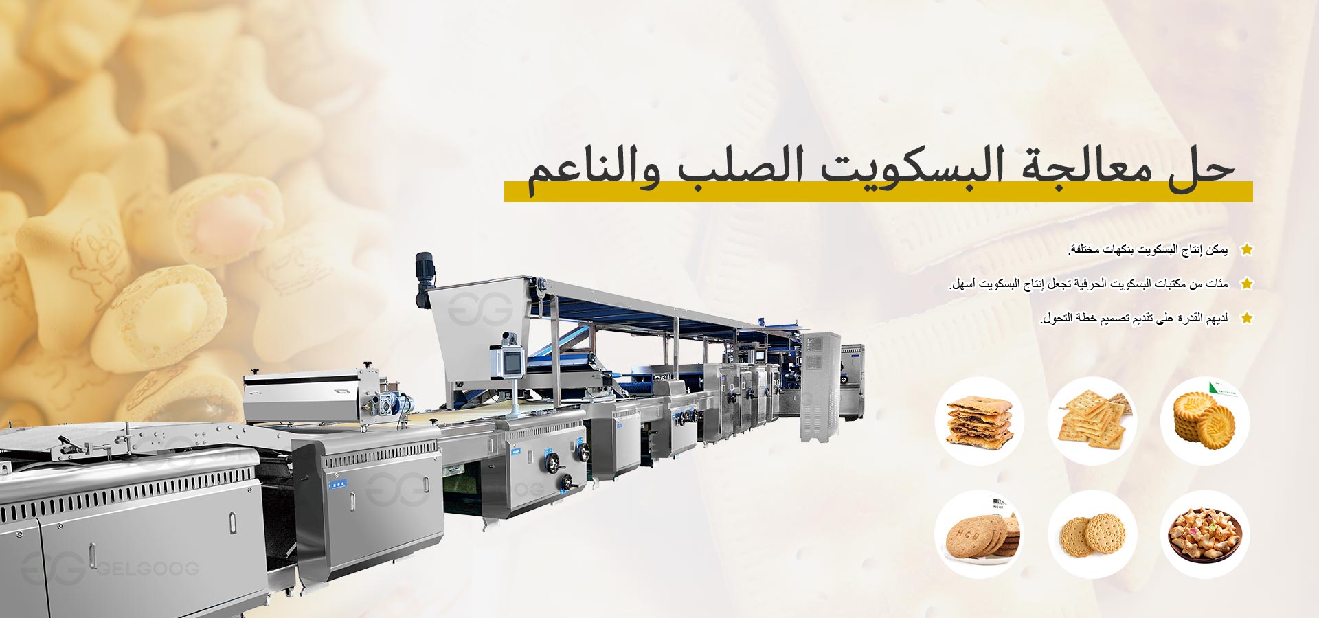 خط إنتاج البسكويت