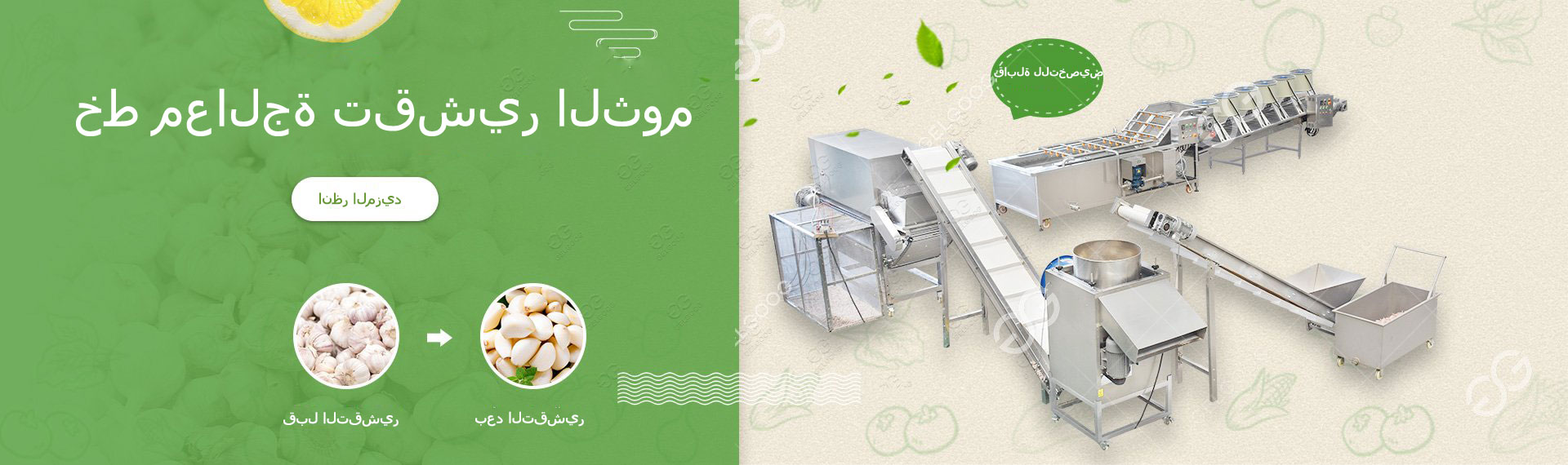 خط تقشير الثوم