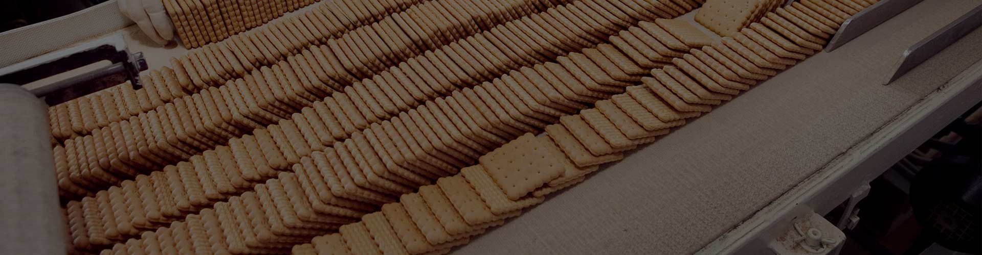 Solución para la producción industrial de galletas 500 kg/h
