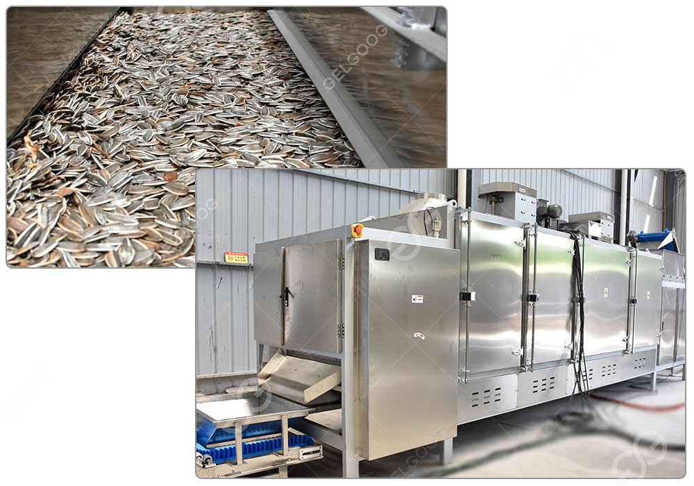 Tostadora industrial de semillas de girasol Gelgoog