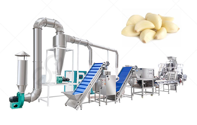 Planta automática de procesamiento de pelado de ajo