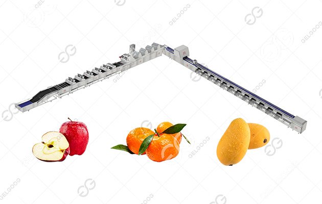 Línea de lavado, encerado, secado y clasificación de frutas para manzanas y naranjas