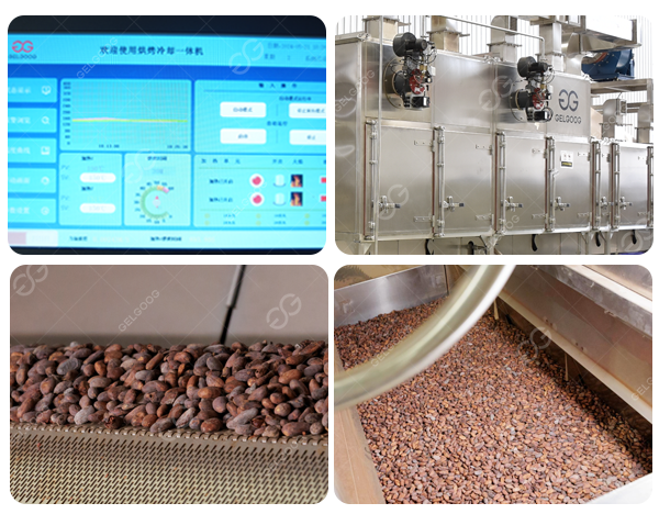 Équipement de torréfaction en continu de fèves de cacao