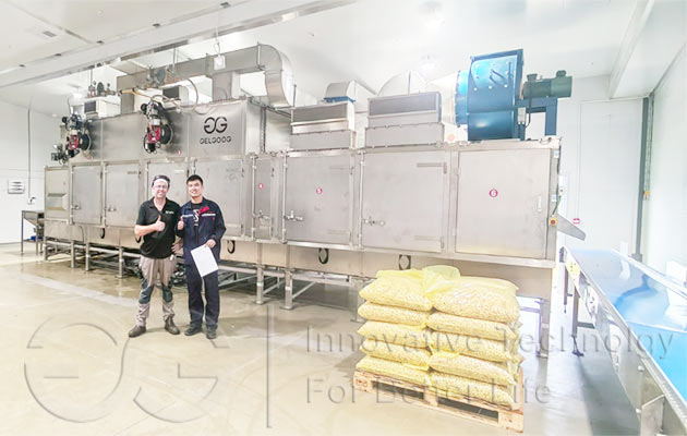 Macadamia Nut Roasting Production Line in South Africa