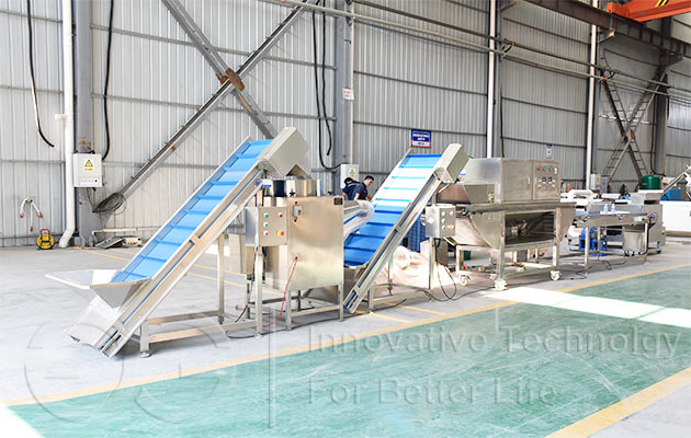 Macadamia Nut Roasting Production Line