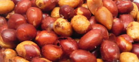 Fried Peanuts