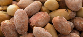 Roasted and Seasoned Peanuts