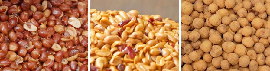Fried and Seasoned Peanuts