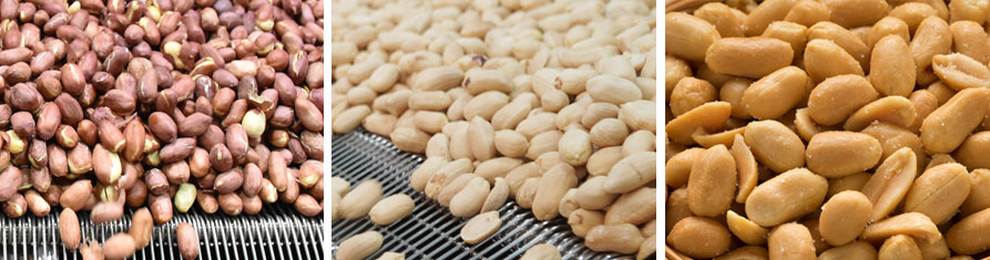 Roasted-Peanuts