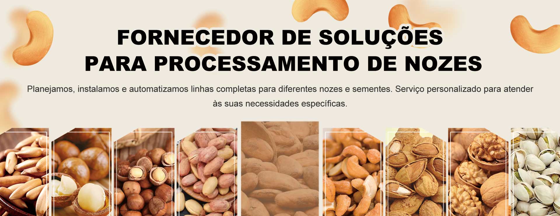 Fornecedor de Soluções para Processamento de Nozes