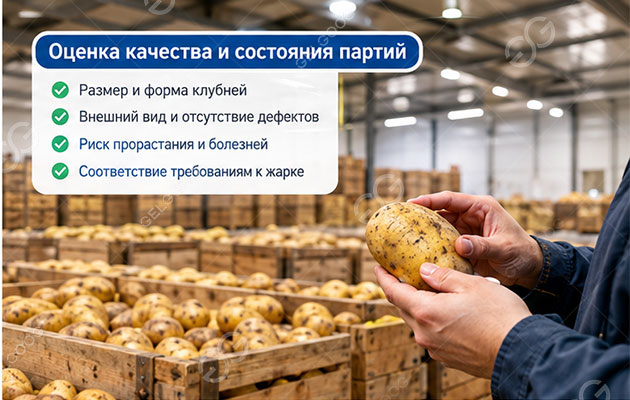 Проверка качества и состояния картофеля после хранения