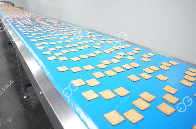 Biscuit Production Solution