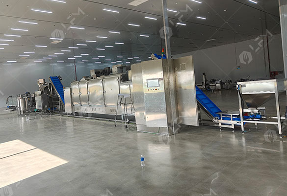 Ligne d'assaisonnement pour noix de cajou grillées au Vietnam