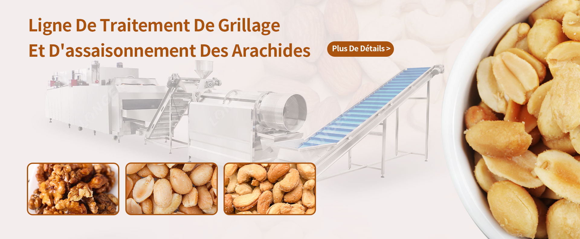 Ligne De Traitement De Grillage Et D'assaisonnement Des Arachides