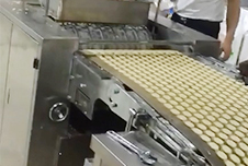 biscuit molding machine