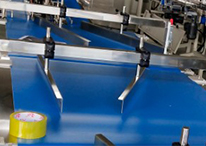 biscuit sorting machine