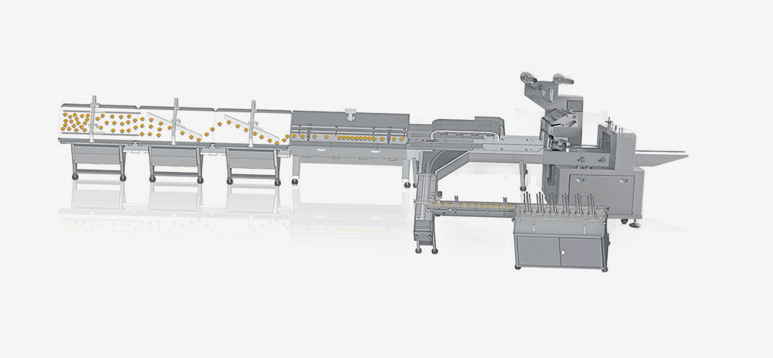 biscuit packing line