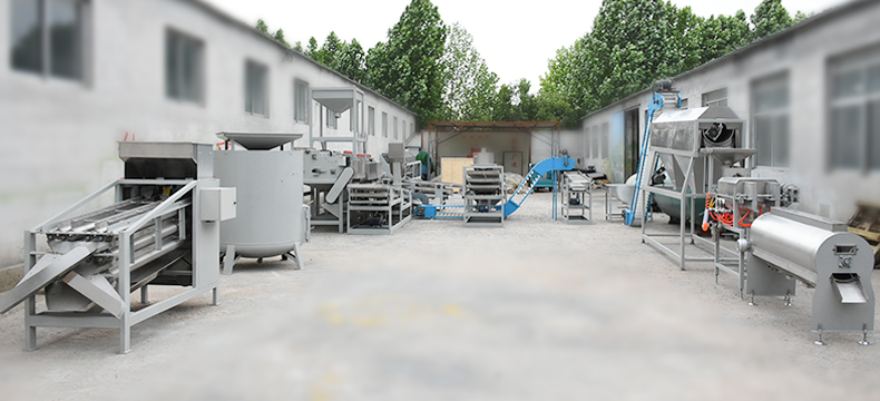 Cashew Nut Processing Line