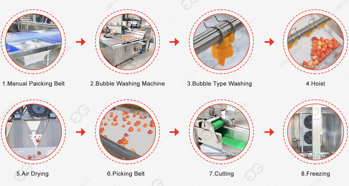 vegetable washing line working flow