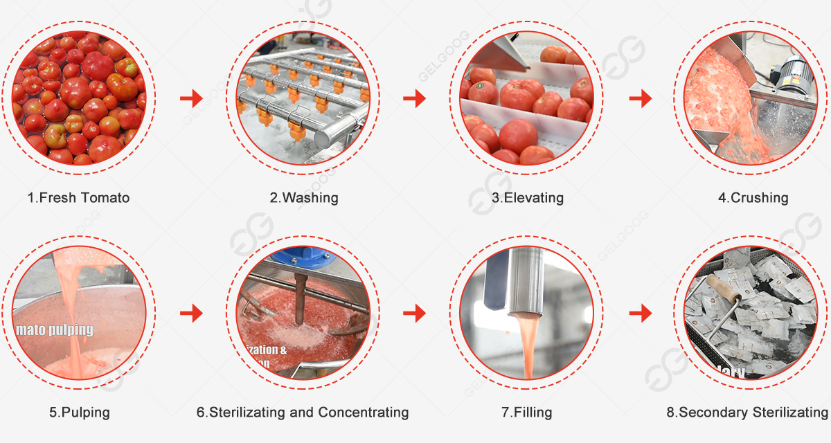 tomato sauce production process