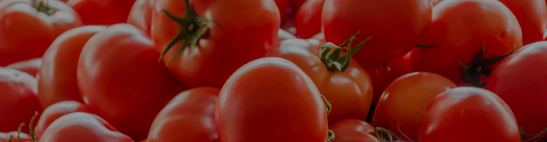 banner-tomato
