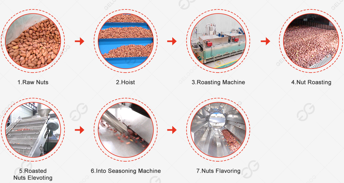nut roasting processing