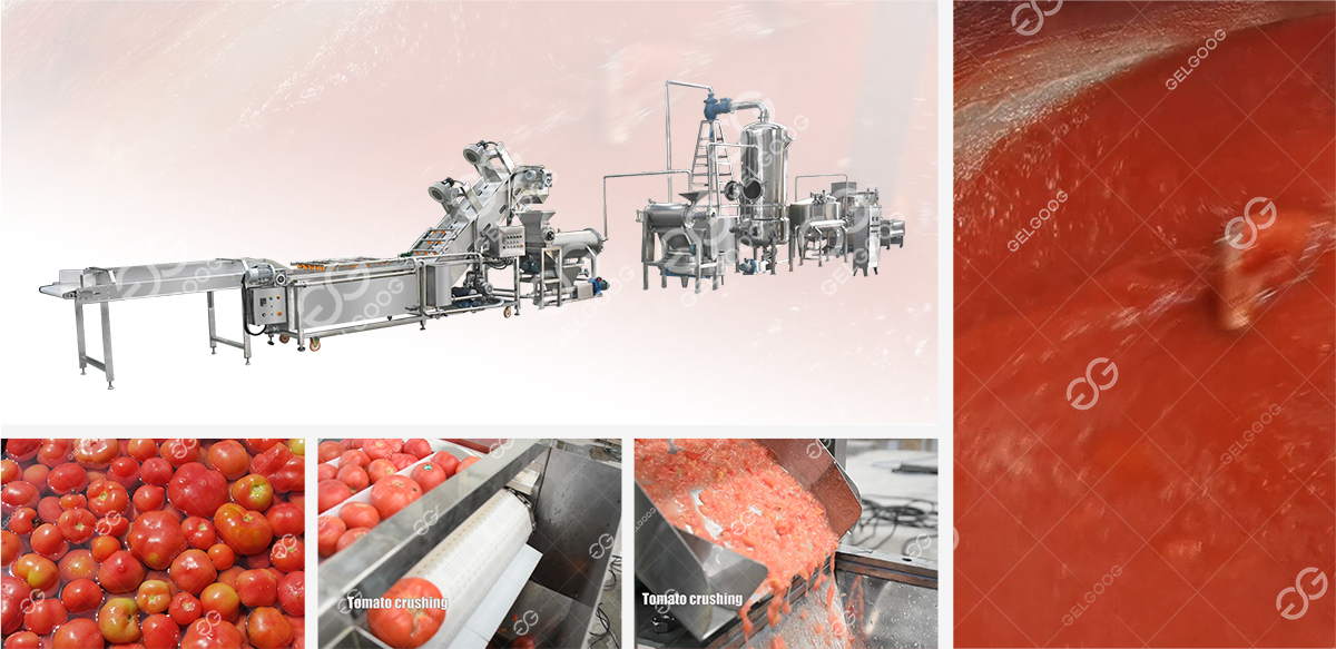 tomato sauce processing line