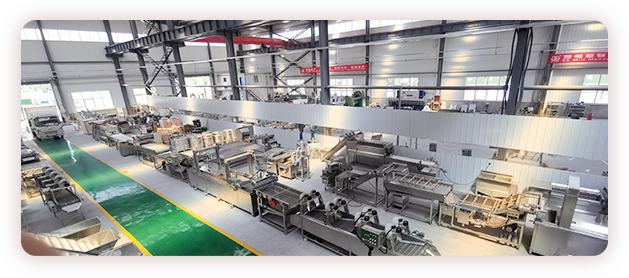 Notre usine dispose d'un certain nombre d'ingénieurs dans les domaines de l'électrification, de la conception mécanique, de l'usinage CNC, etc. L'équipement développé et produit est largement utilisé dans le domaine du traitement des fruits et légumes.