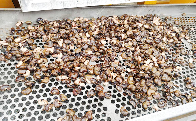 High Shelling Rate and Whole Kernel Rate