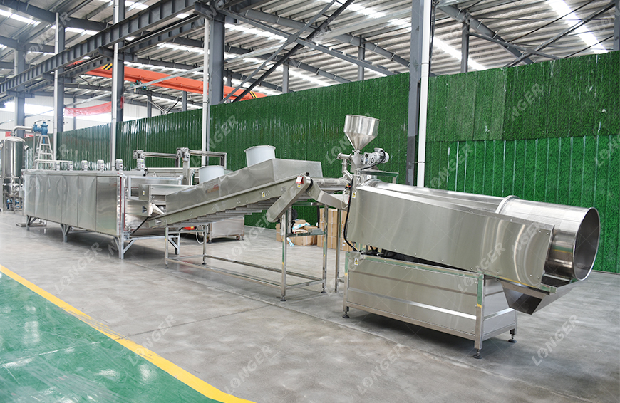 Roasted Nuts Processing Line