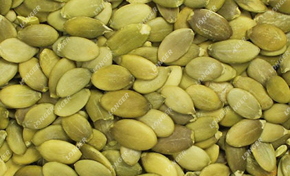 Shelling Melon Seeds.jpg