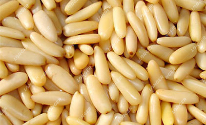 Shelling Pinenuts.jpg
