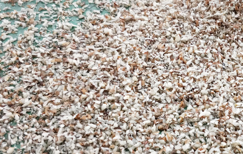 Is There a Machine That Will Finely Chop Walnuts?