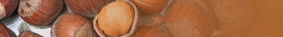 25ab0dfc645bf12b02507f924d498900