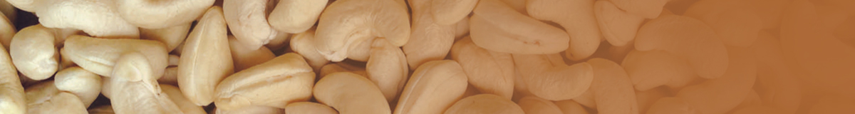 fde5737df42be16aac92a4938483ae2b