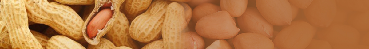 78596e4a42b87895ac5fd5d2ec6a39f2