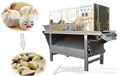 200-500KG Per Hour Garlic Peeling Machine