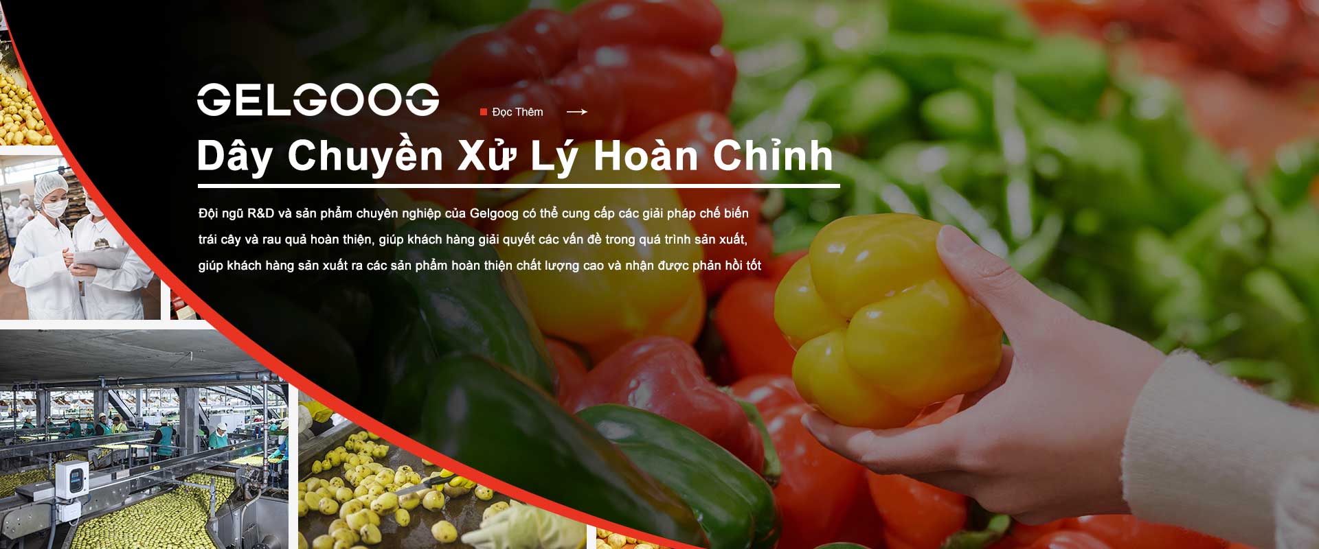 DÂY CHUYỀN XỬ LÝ HOÀN CHỈNH GELGOOG