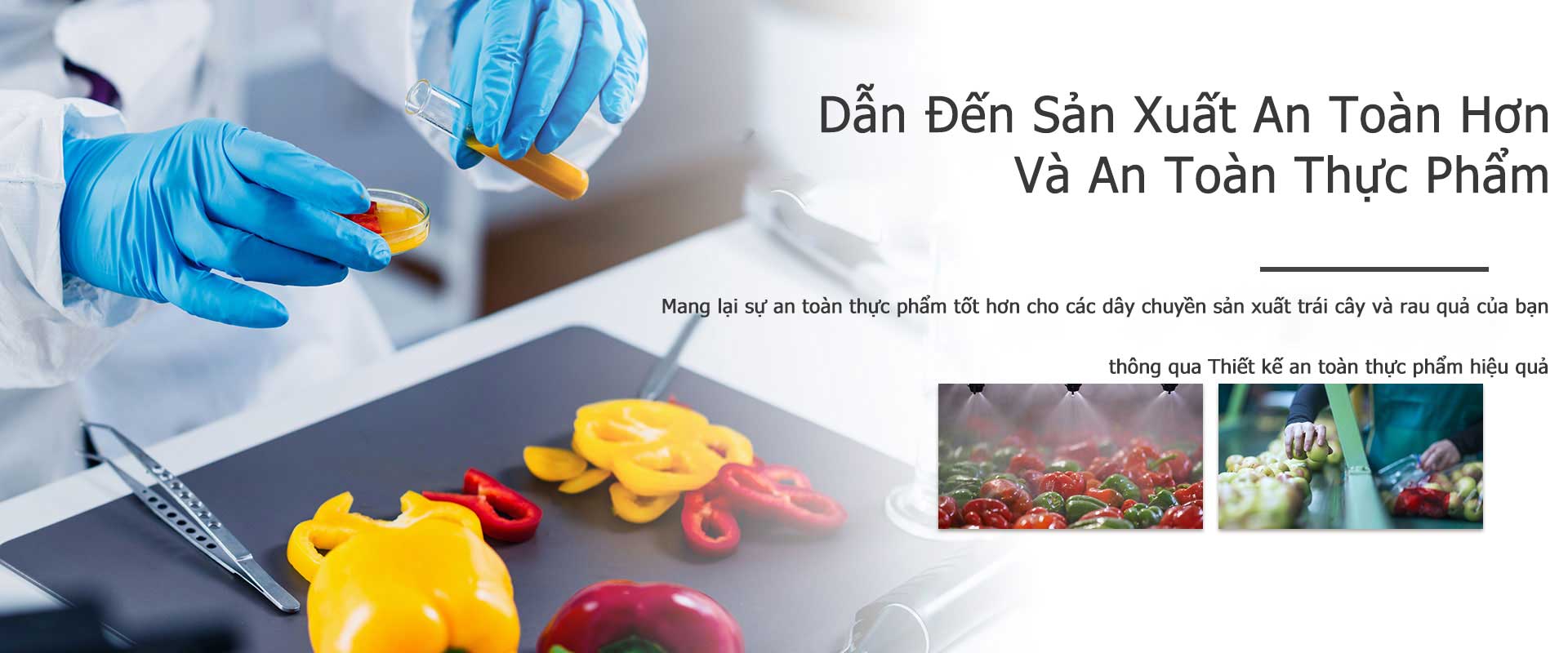 MANG LẠI AN TOÀN SẢN XUẤT VÀ AN TOÀN THỰC PHẨM TỐT HƠN 