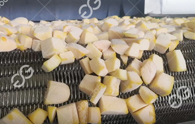 Kế Hoạch Kinh Doanh Nhà Máy Chế Biến Trái Cây Đông Lạnh