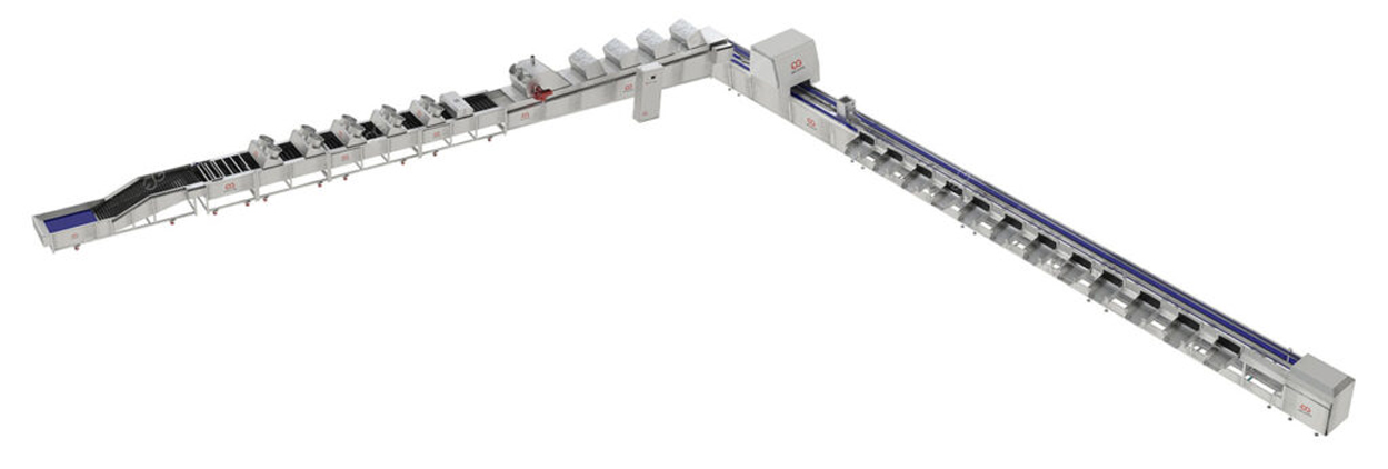 avocado washing waxing and grading machine