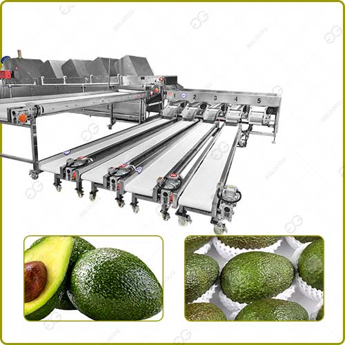 avocado-grading-machine-for-sale.jpg