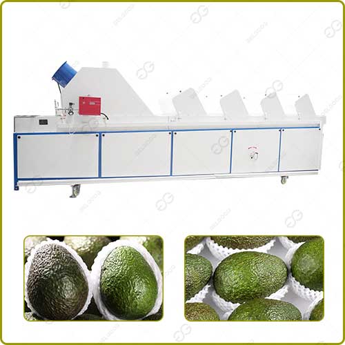 Avocado Drying Machine Hot Air Drying