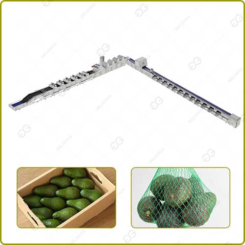 Avocado Washing Waxing And Grading Machine 1-20T/H