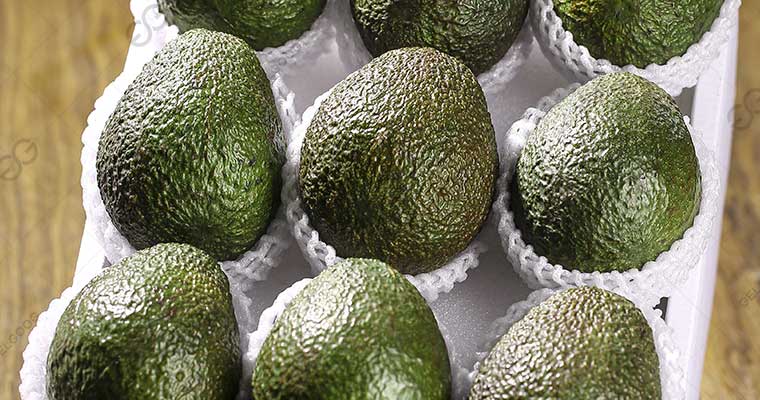 Is Selling Avocados Profitable