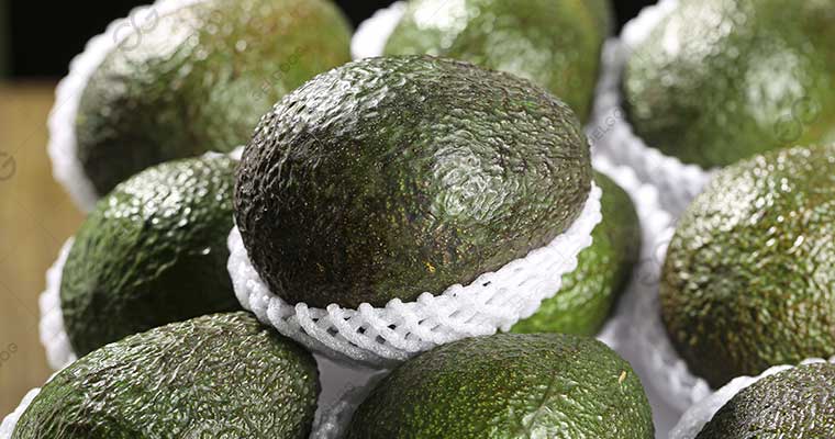 How Much is the Avocado Business Worth