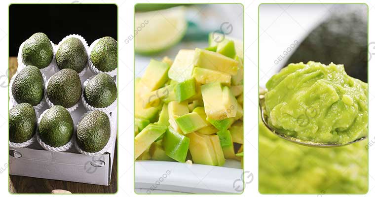 Avocado Processing Industry