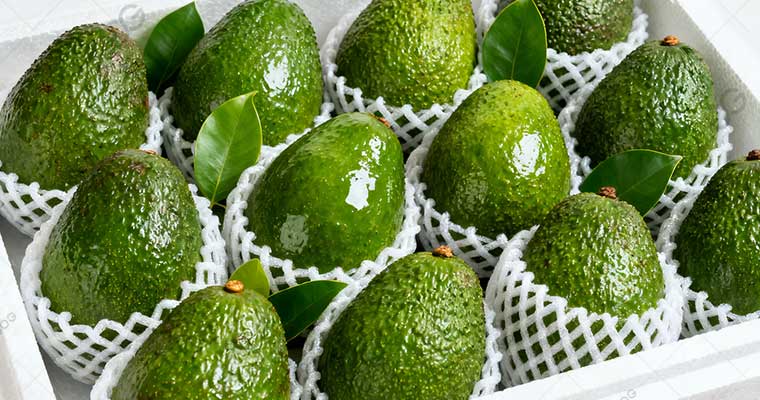 What Are The Different Grades Of Avocados