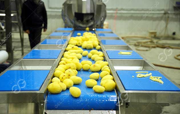 potato peeling machine