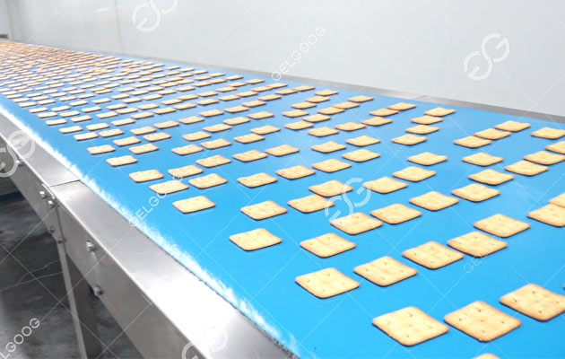 Biscuit Production Line Price in Vietnam
